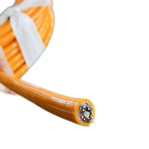 ������̳��hibet(�й�)�ٷ���վ