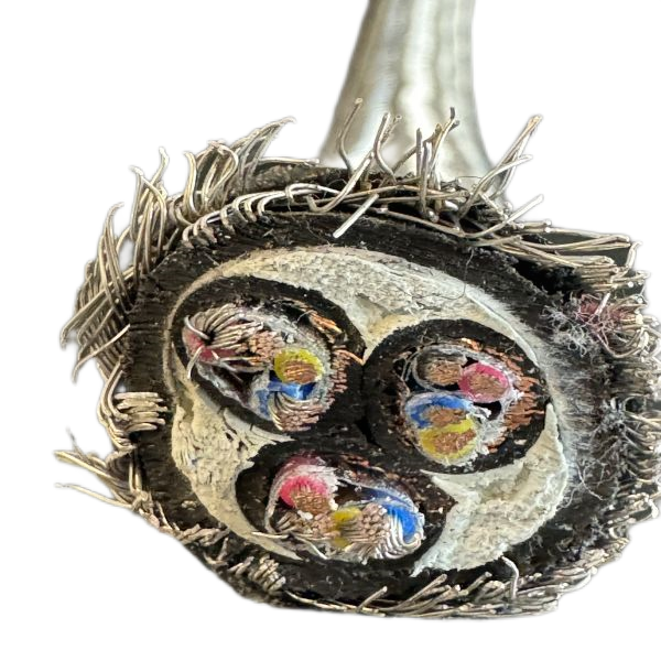 海博论坛·hibet(中国)官方网站