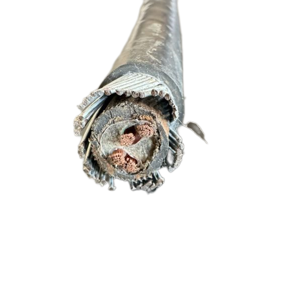 海博论坛·hibet(中国)官方网站