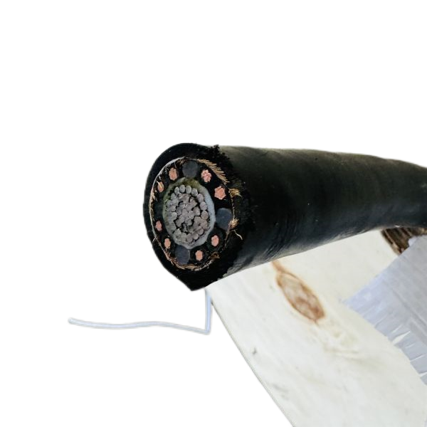 海博论坛·hibet(中国)官方网站