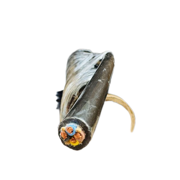 海博论坛·hibet(中国)官方网站