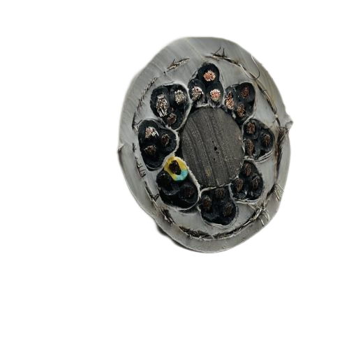 海博论坛·hibet(中国)官方网站