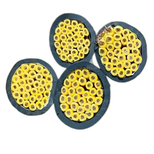 海博论坛·hibet(中国)官方网站