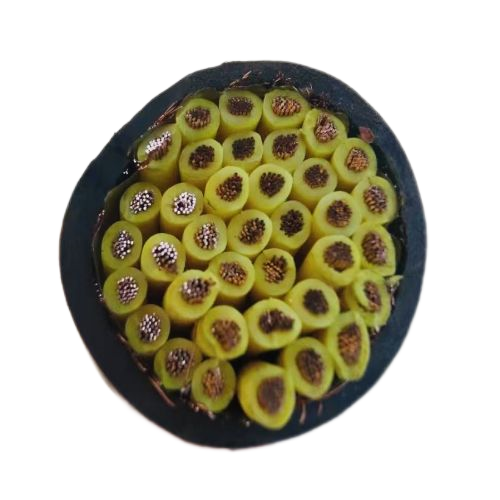 海博论坛·hibet(中国)官方网站