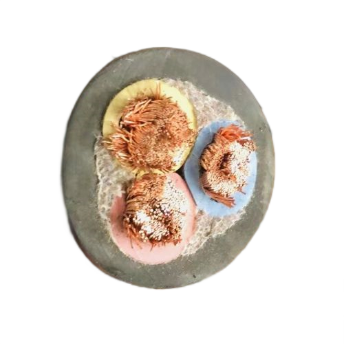 海博论坛·hibet(中国)官方网站