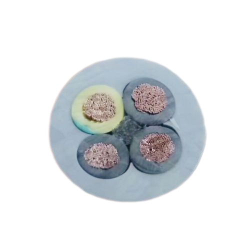 海博论坛·hibet(中国)官方网站