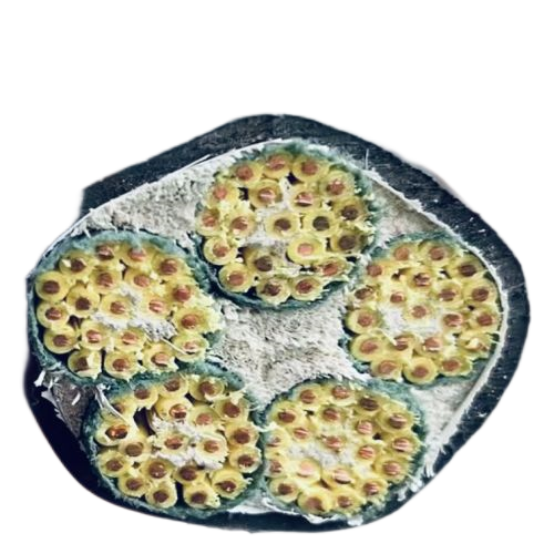 海博论坛·hibet(中国)官方网站