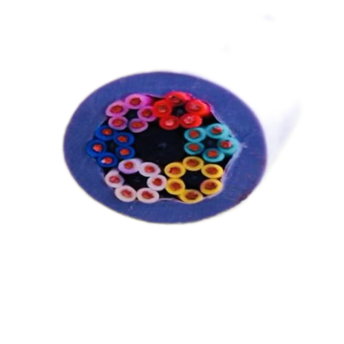 海博论坛·hibet(中国)官方网站