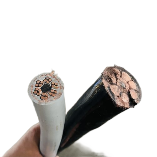 海博论坛·hibet(中国)官方网站