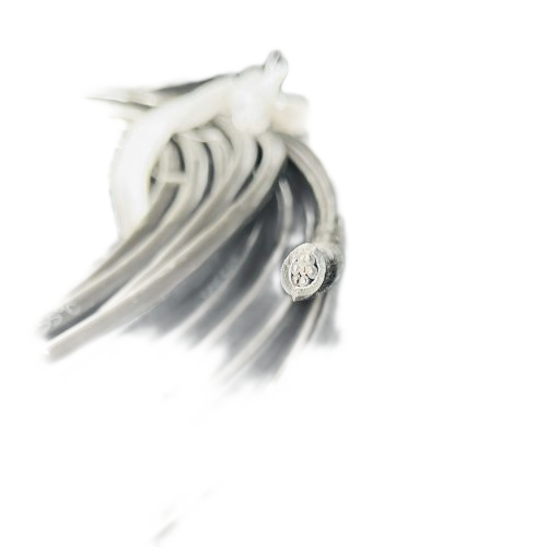 海博论坛·hibet(中国)官方网站