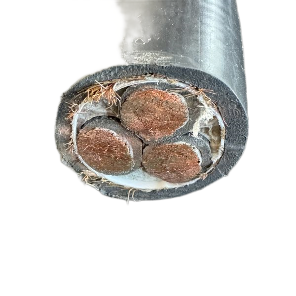 海博论坛·hibet(中国)官方网站