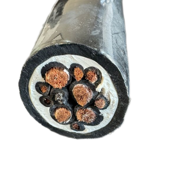 海博论坛·hibet(中国)官方网站