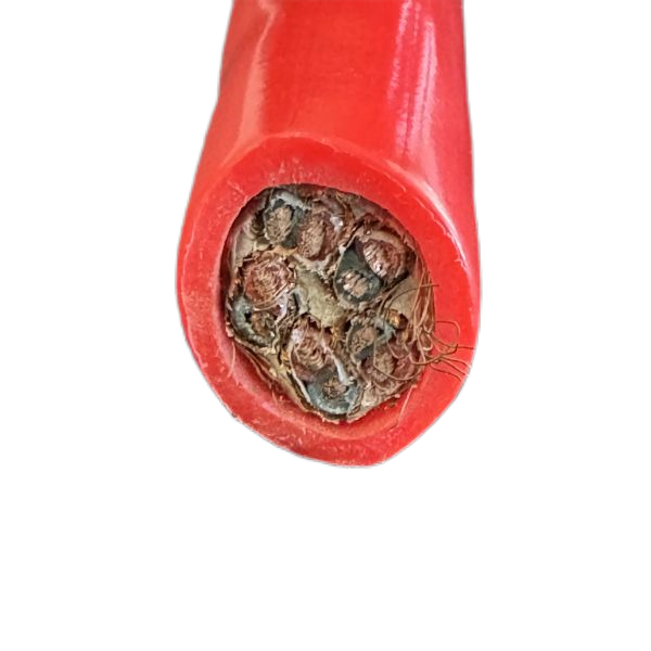 ������̳��hibet(�й�)�ٷ���վ