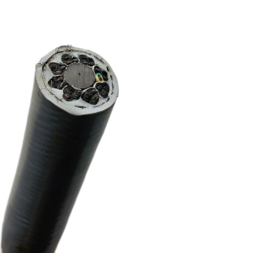 海博论坛·hibet(中国)官方网站