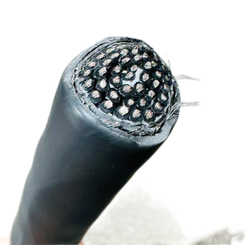 ������̳��hibet(�й�)�ٷ���վ