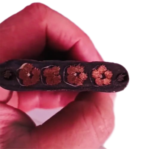 海博论坛·hibet(中国)官方网站