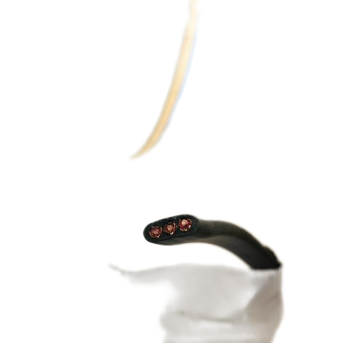 海博论坛·hibet(中国)官方网站