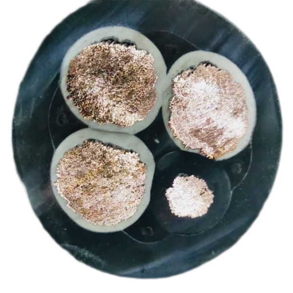 海博论坛·hibet(中国)官方网站