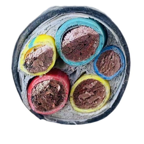 海博论坛·hibet(中国)官方网站