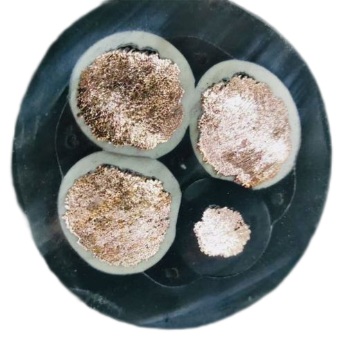 ������̳��hibet(�й�)�ٷ���վ