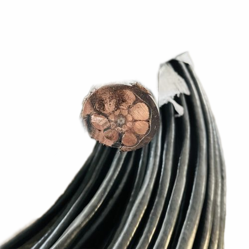 ������̳��hibet(�й�)�ٷ���վ