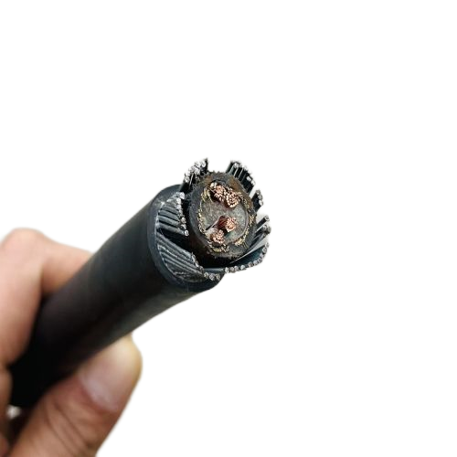 ������̳��hibet(�й�)�ٷ���վ