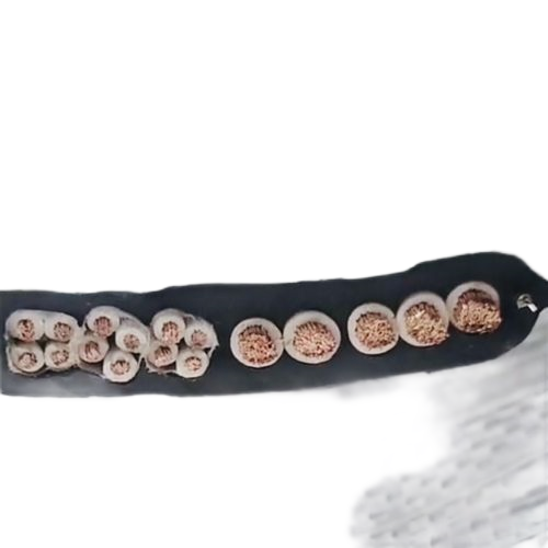 ������̳��hibet(�й�)�ٷ���վ