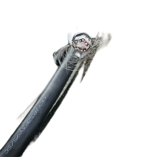 ������̳��hibet(�й�)�ٷ���վ