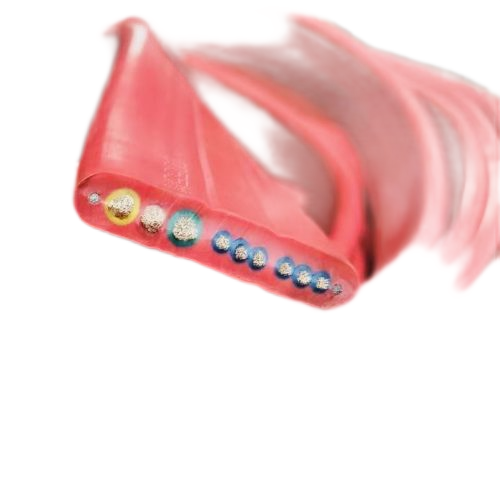 海博论坛·hibet(中国)官方网站