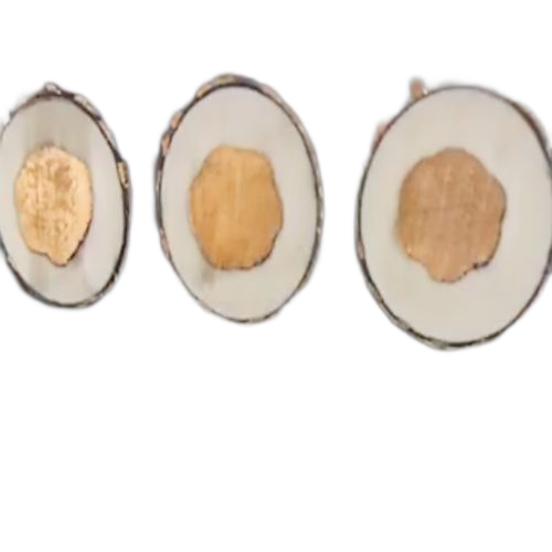 海博论坛·hibet(中国)官方网站