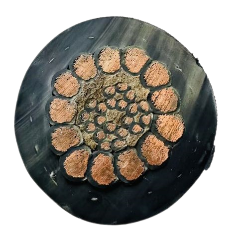 ������̳��hibet(�й�)�ٷ���վ