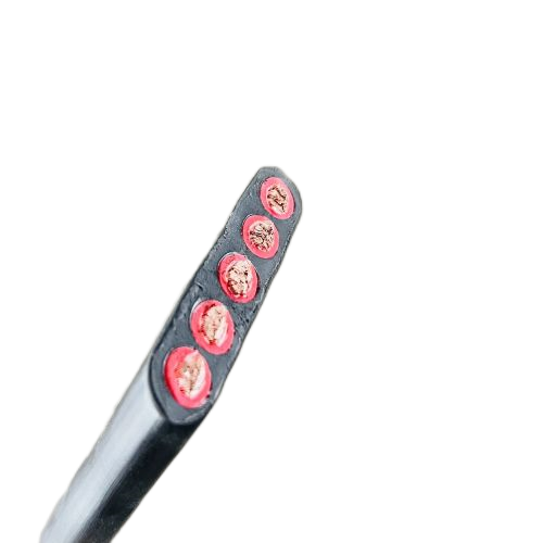 海博论坛·hibet(中国)官方网站