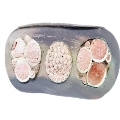 海博论坛·hibet(中国)官方网站