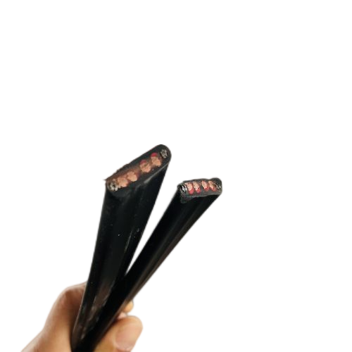 ������̳��hibet(�й�)�ٷ���վ