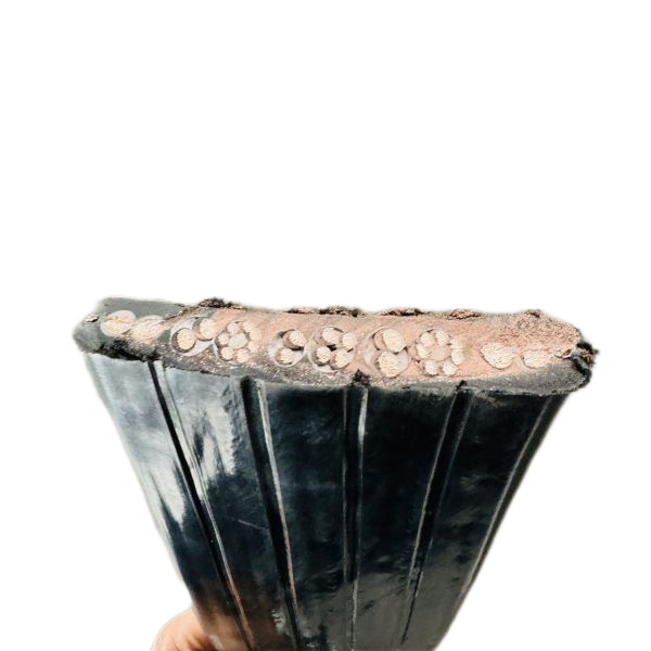 ������̳��hibet(�й�)�ٷ���վ