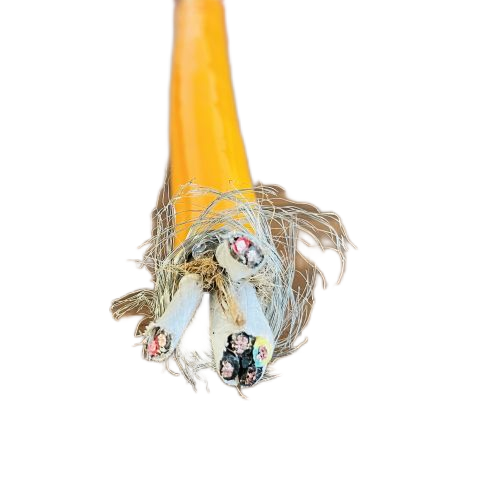 ������̳��hibet(�й�)�ٷ���վ