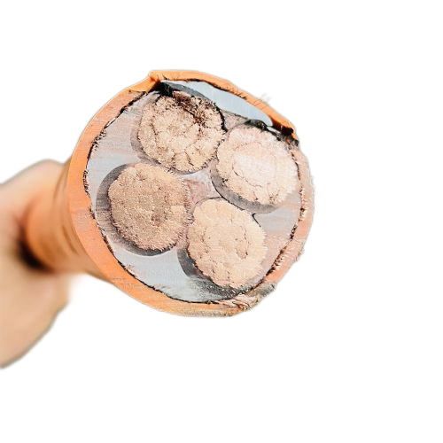 ������̳��hibet(�й�)�ٷ���վ