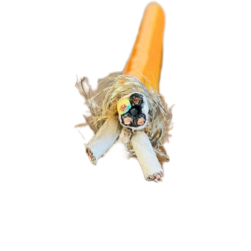 海博论坛·hibet(中国)官方网站