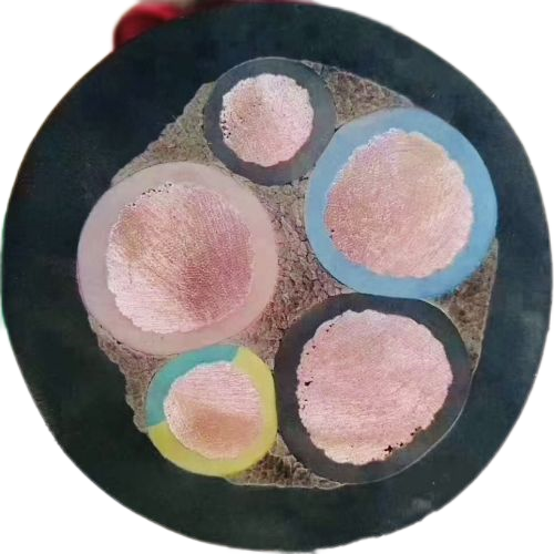 海博论坛·hibet(中国)官方网站