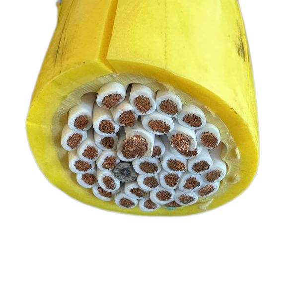 海博论坛·hibet(中国)官方网站