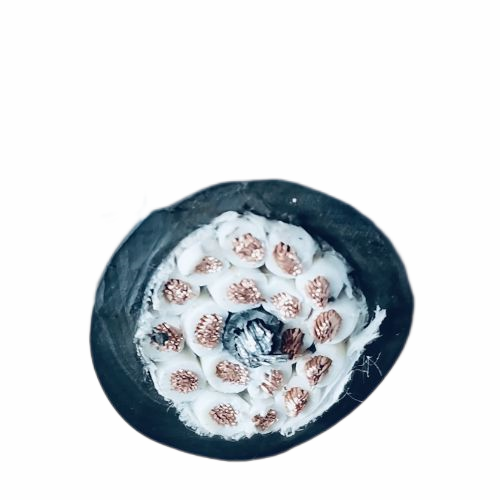 ������̳��hibet(�й�)�ٷ���վ