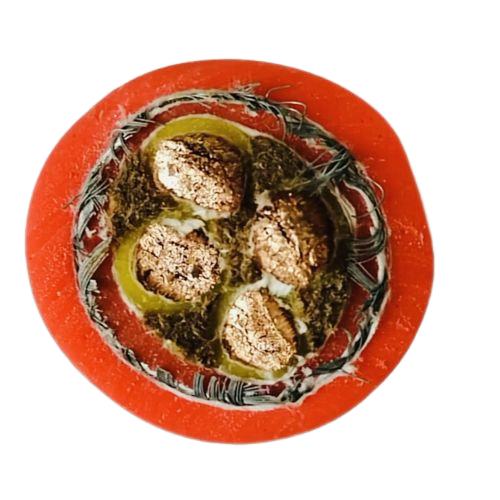 海博论坛·hibet(中国)官方网站