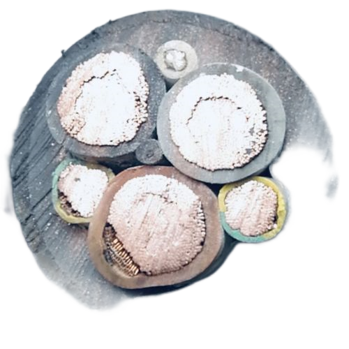 ������̳��hibet(�й�)�ٷ���վ