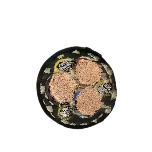 ������̳��hibet(�й�)�ٷ���վ