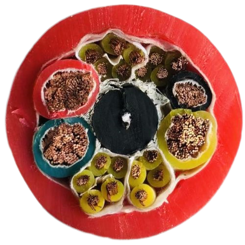 ������̳��hibet(�й�)�ٷ���վ