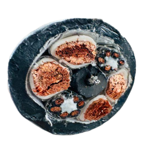 海博论坛·hibet(中国)官方网站