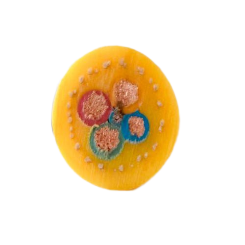 海博论坛·hibet(中国)官方网站