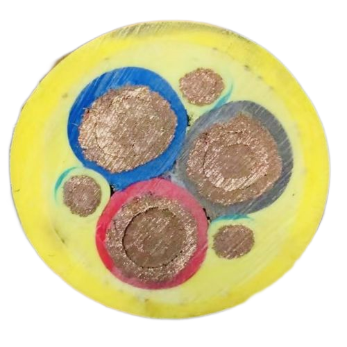 海博论坛·hibet(中国)官方网站