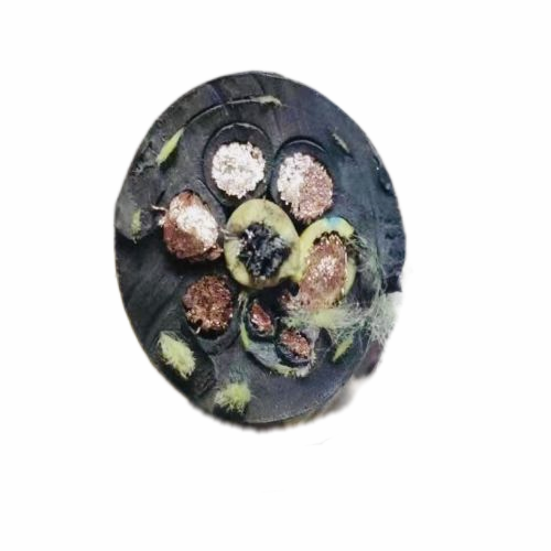 ������̳��hibet(�й�)�ٷ���վ