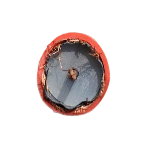 ������̳��hibet(�й�)�ٷ���վ